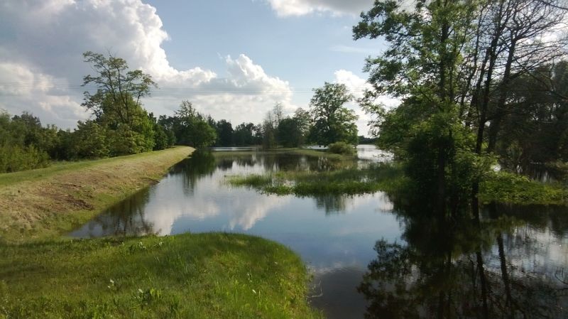 hochwasser2013