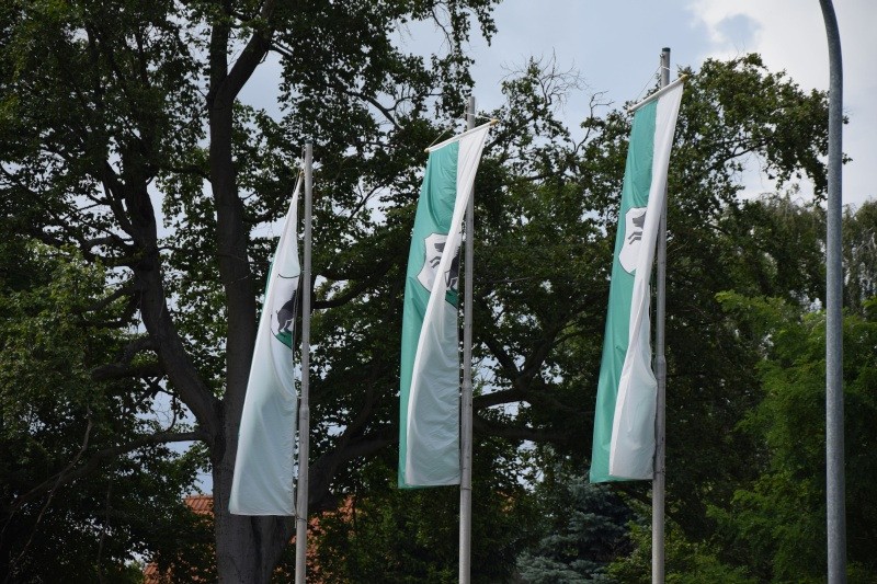 festumzug