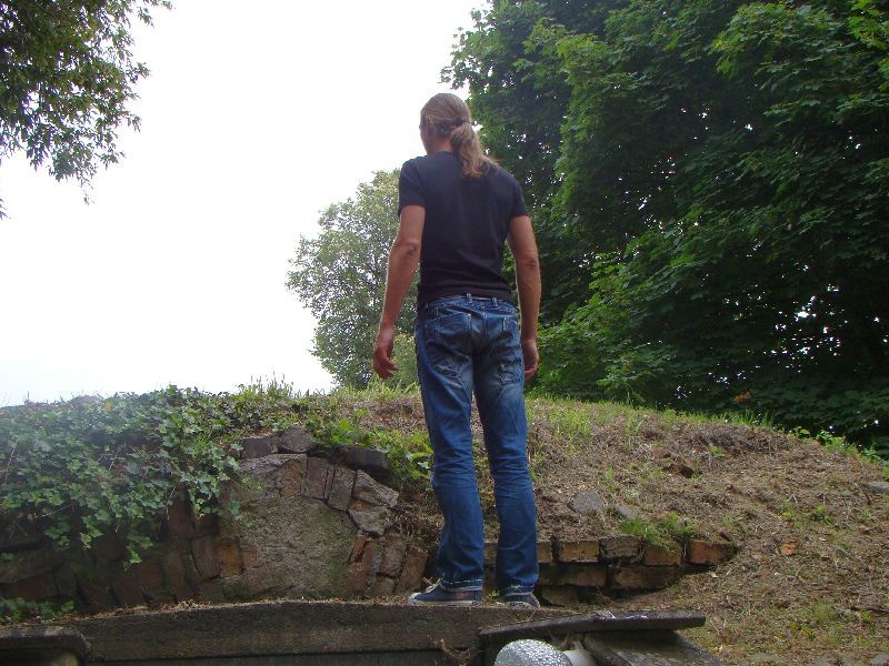 fruehschoppen 2013