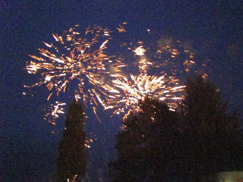 sonntag 2013