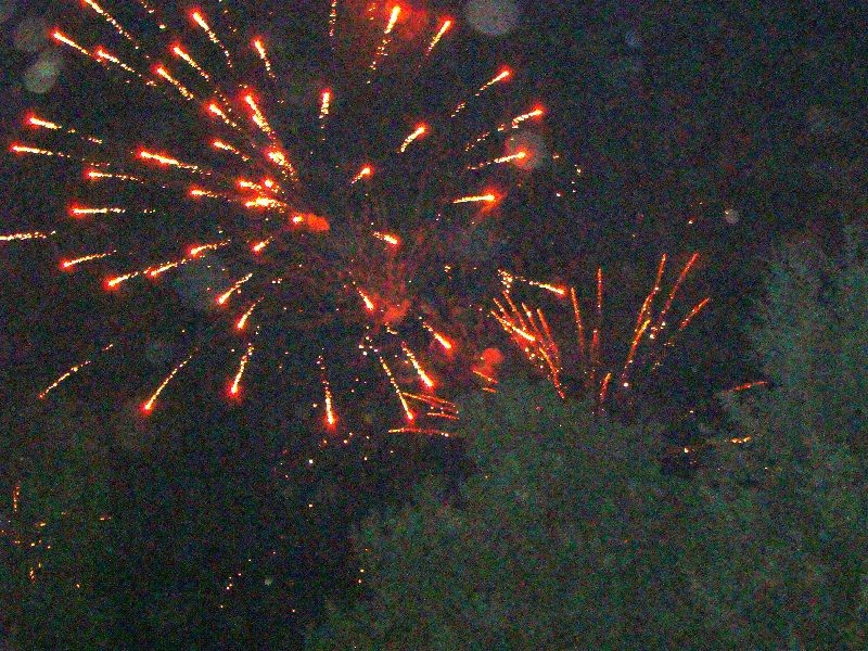 sonntag 2013