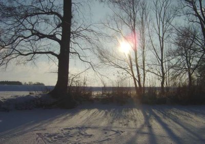 Schweinitz